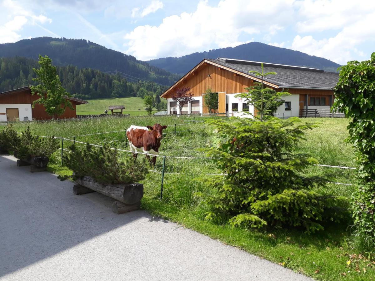 Landhaus Fingerhof Flachau Zewnętrze zdjęcie