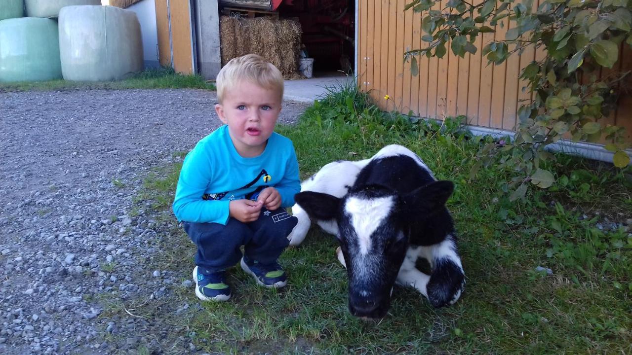 Landhaus Fingerhof Flachau Zewnętrze zdjęcie