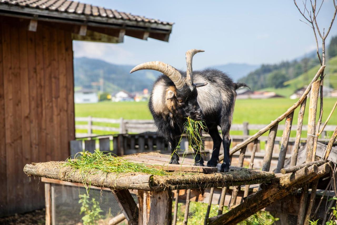 Landhaus Fingerhof Flachau Zewnętrze zdjęcie